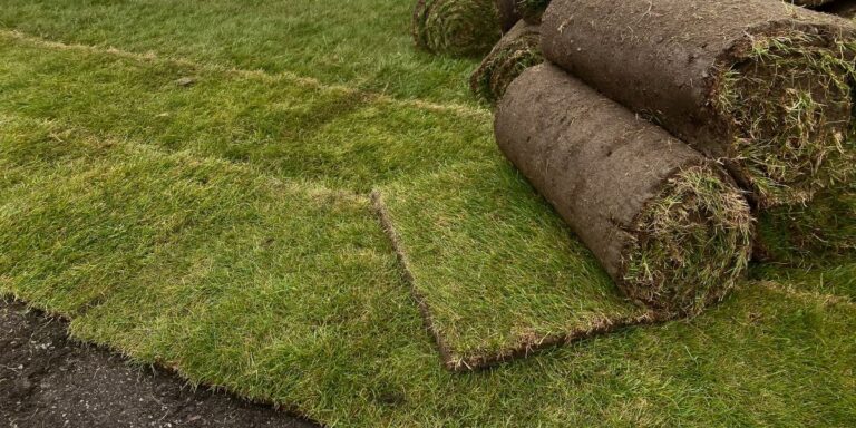 Creating Outdoor Spaces That Stay Beautiful Throughout the Year